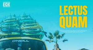 Meet the New Faces Ready to Take Over Hollywood’s Spotlight